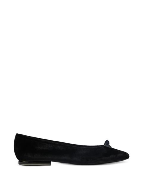 Loro Piana bow detail ballerina flats - Black - zdjęcie produktu nr 1