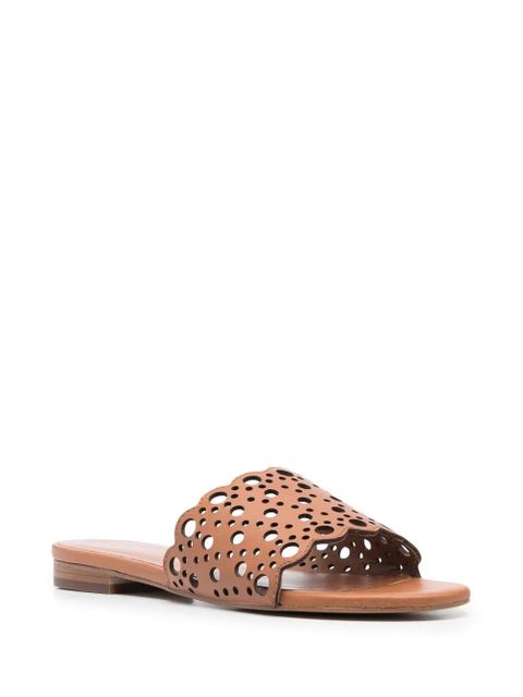TWINSET slip-on flat sandals - Brown - zdjęcie produktu nr 2