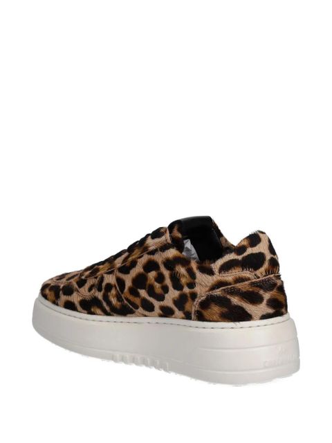 Copenhagen leopard-print sneakers - Brown