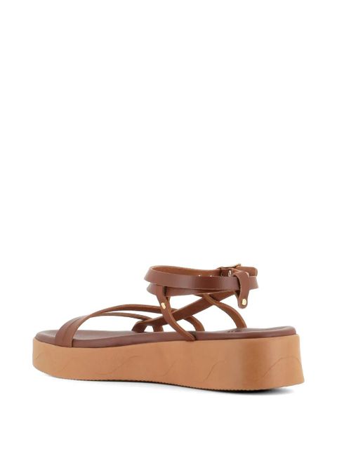 Ancient Greek Sandals Stiliani sandals - Brown