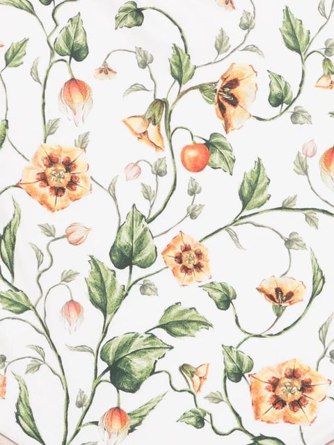 Agua By Agua Bendita Gema Uchuva floral swimsuit - White