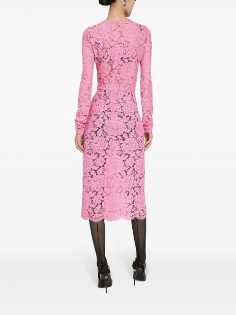 Dolce & Gabbana cordonetto-lace sheath dress - Pink