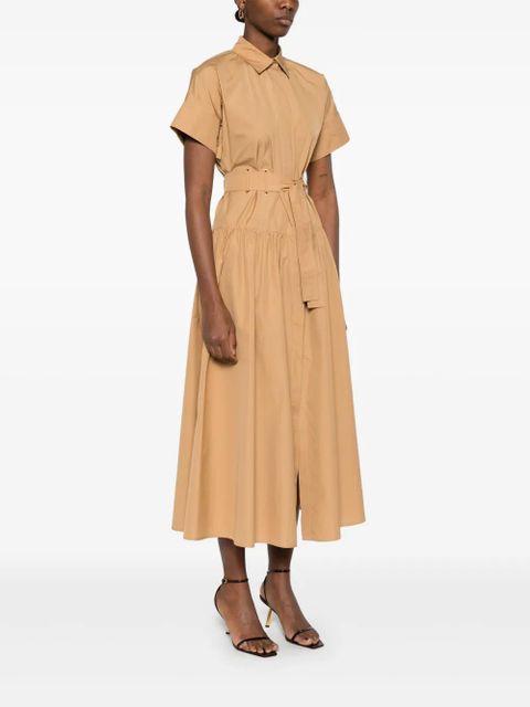 Max Mara Agoraio midi dress - Brown