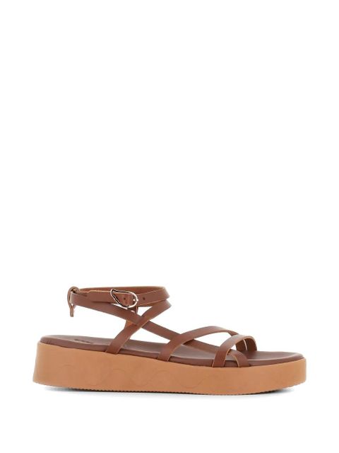Ancient Greek Sandals Stiliani sandals - Brown - zdjęcie produktu nr 1