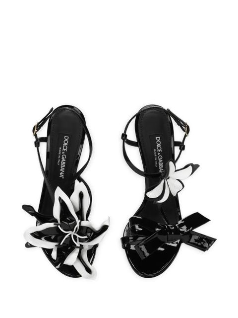 Dolce & Gabbana floral-appliqué leather stiletto sandals - Black