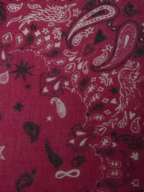 Zadig&Voltaire Maddie scarf - Pink