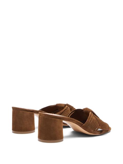 Casadei Cleo Xanadou knotted suede mules - Brown