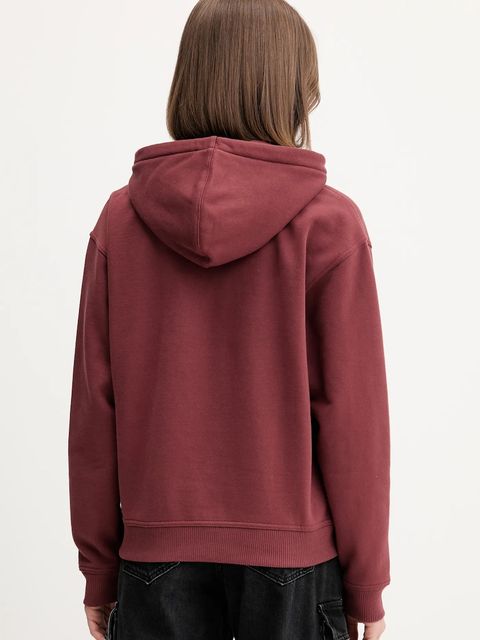 Dickies bluza CLANCY damska kolor brązowy z kapturem gładka DK0A4Z2W