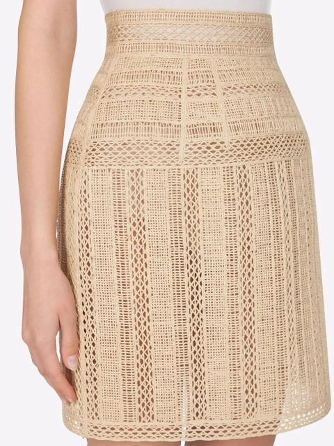 Dolce & Gabbana embroidered raffia miniskirt - Neutrals