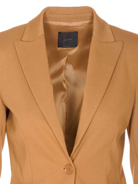 PINKO single-breasted blazer - Brown