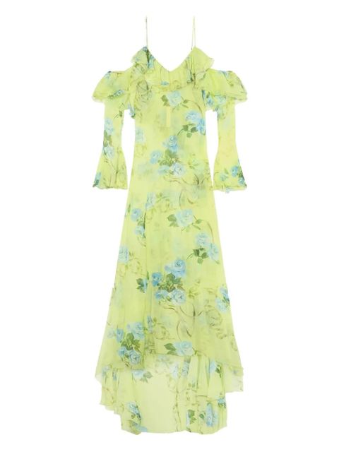 Blumarine ruffled floral maxi dress - Green - zdjęcie produktu nr 1