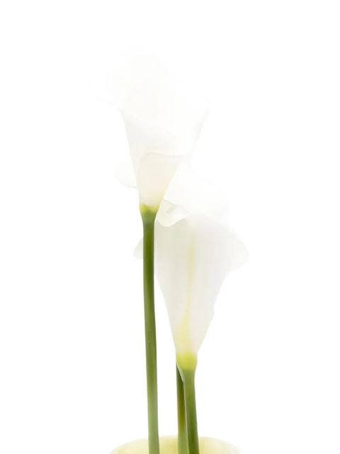 Cult Gaia Florance clutch bag - Green