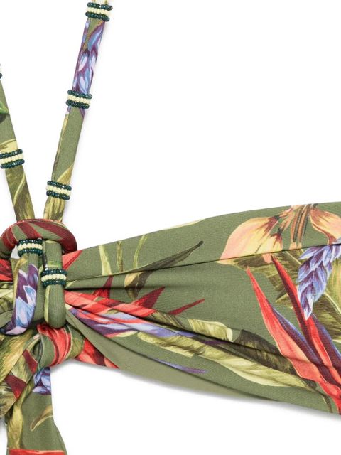 FARM Rio Strelitzia floral-print bikini top - Green