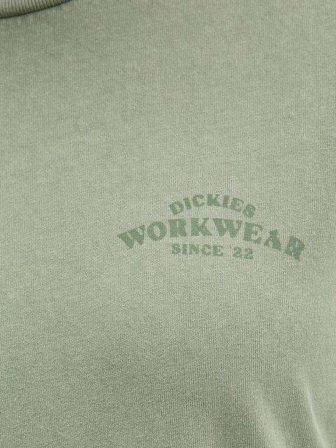 Dickies longsleeve bawełniany kolor zielony DK0A87Q6