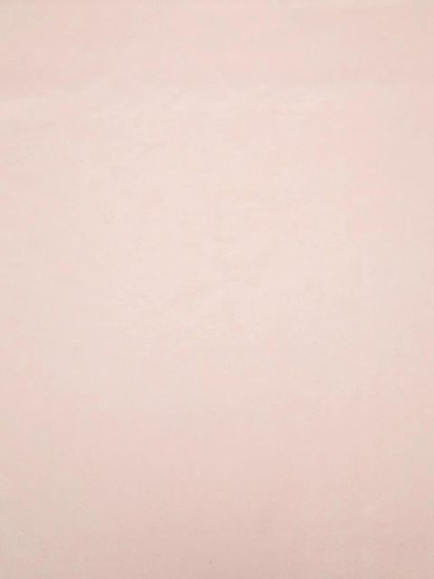 Loro Piana Grande Unita scarf - Pink