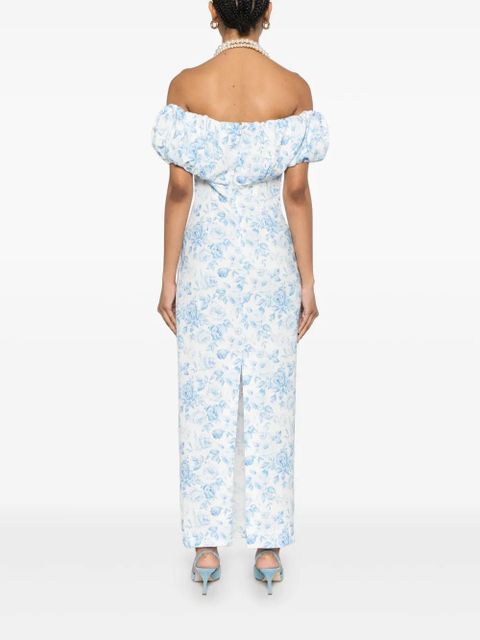 Rowen Rose rose-print maxi dress - Blue