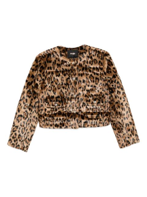 Maje leopard-print buttoned jacket - Brown