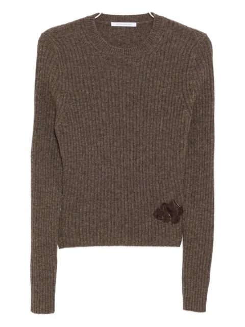Cecilie Bahnsen Blas jumper - Brown