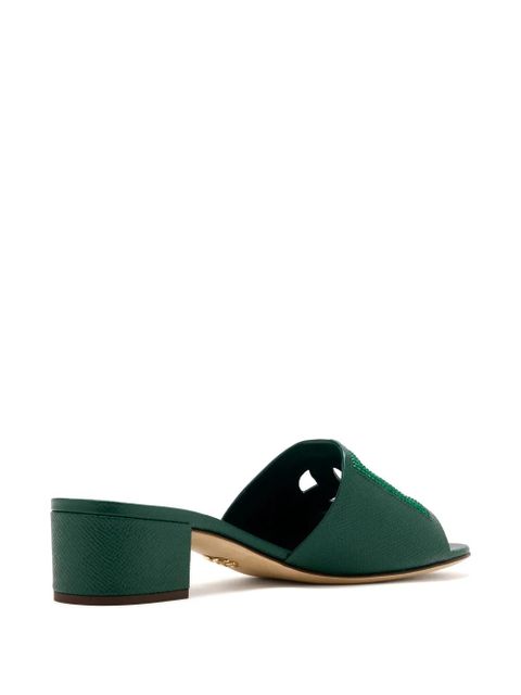 Dolce & Gabbana logo-plaque embellished mules - Green