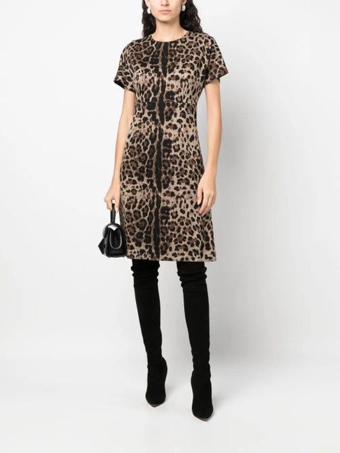 Dolce & Gabbana leopard-jacquard short-sleeved dress - Brown - zdjęcie produktu nr 2