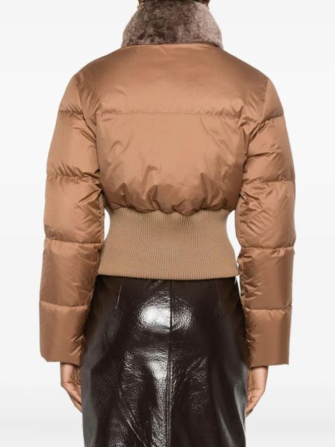 FENDI shearling-collar padded jacket - Brown
