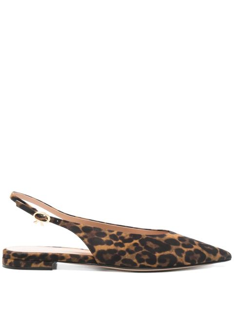 Gianvito Rossi Robbie ballet flats - Brown - zdjęcie produktu nr 1