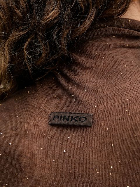 Pinko sweter damski kolor brązowy lekki z półgolfem 105821 A2PM