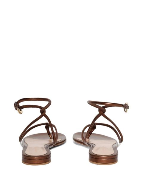 Gianvito Rossi Mamba strappy sandals - Brown - zdjęcie produktu nr 2