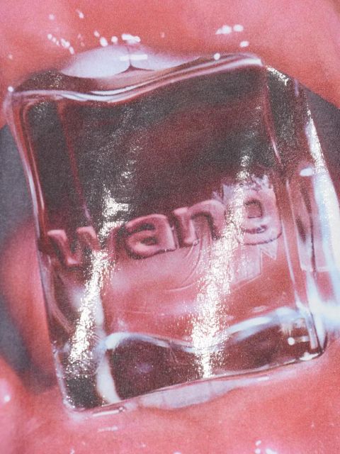 Alexander Wang Cube Oversized T-shirt - White