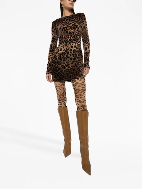 Dolce & Gabbana logo-plaque leopard-print dress - Brown