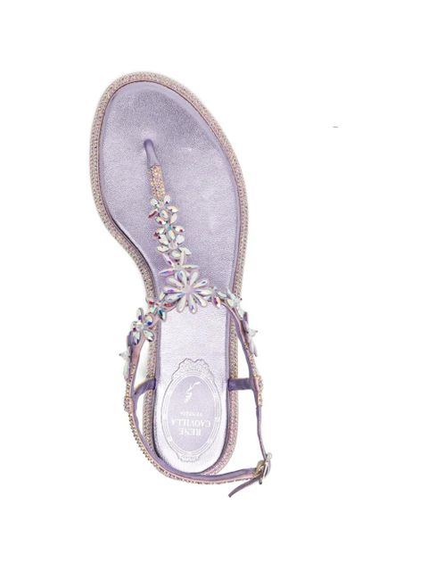 René Caovilla Diana sandals - Purple