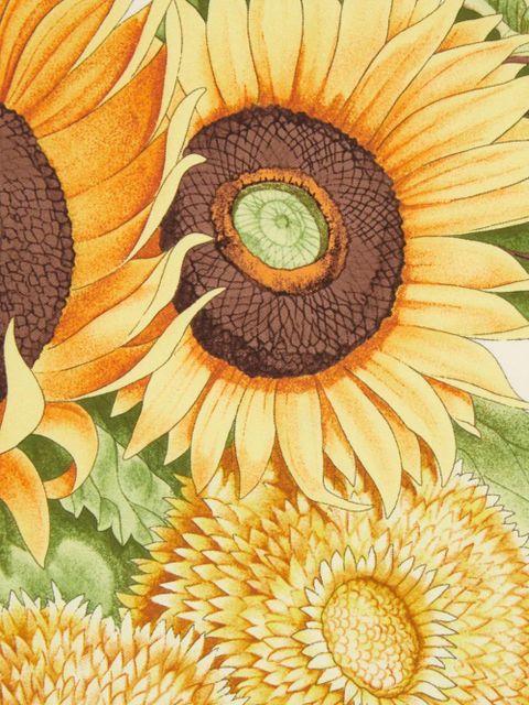 Ferragamo Sunflower scarf - Neutrals