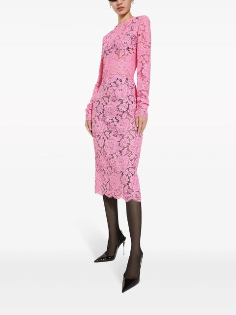 Dolce & Gabbana cordonetto-lace sheath dress - Pink