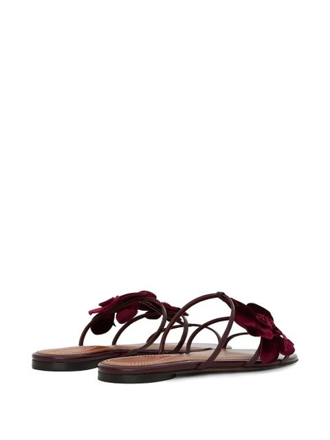 ZIMMERMANN Orchid Slide floral-applique sandals - Red