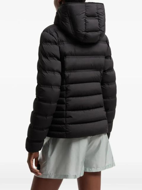 Moncler padded hooded jacket - Black