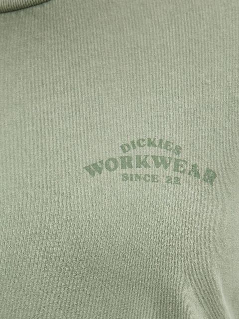 Dickies longsleeve bawełniany kolor zielony DK0A87Q6