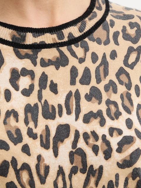 Morgan sukienka kolor beżowy mini prosta RMCALL