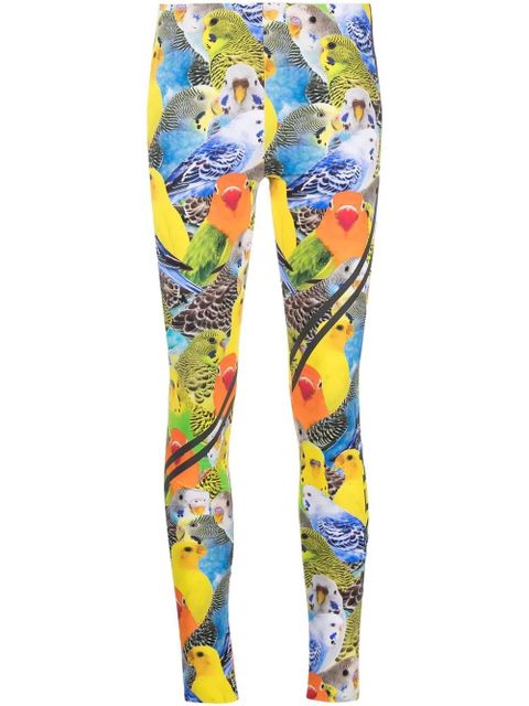 LOEWE bird-print leggings - Blue - zdjęcie produktu nr 1