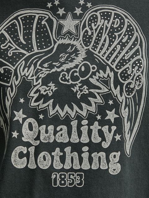 Levi's t-shirt bawełniany GR T2 PERFECT