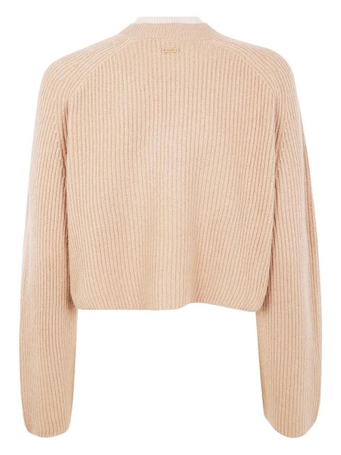 Max Mara ribbed wool sweater - Neutrals
