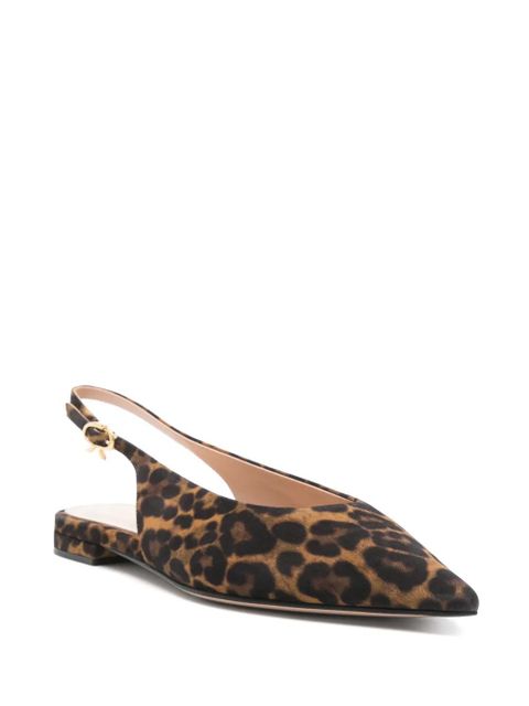 Gianvito Rossi Robbie ballet flats - Brown - zdjęcie produktu nr 2