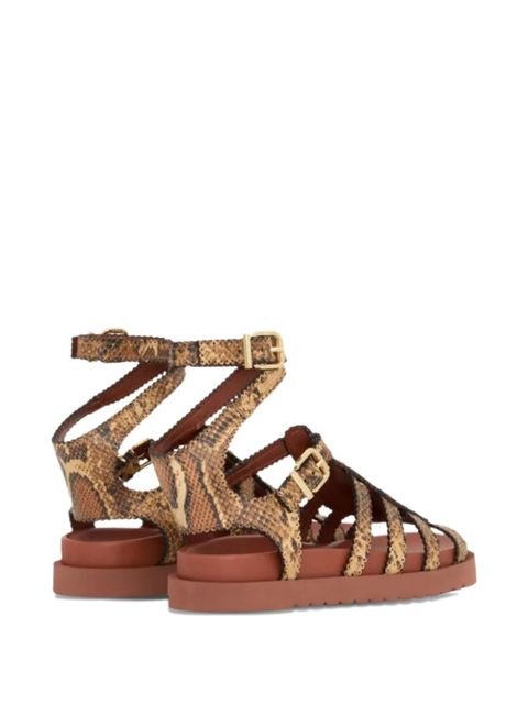 ZIMMERMANN Goldie Gladiator buckle sandals - Brown - zdjęcie produktu nr 2