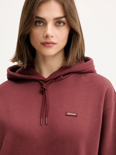 Dickies bluza CLANCY damska kolor brązowy z kapturem gładka DK0A4Z2W