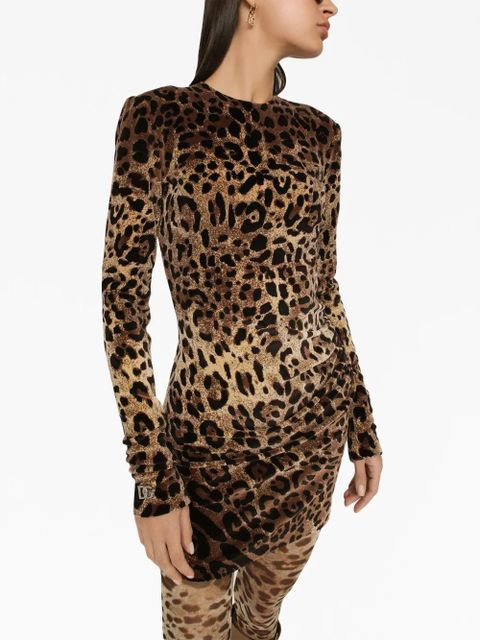 Dolce & Gabbana logo-plaque leopard-print dress - Brown