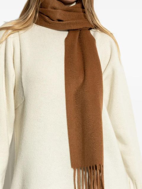 Max Mara logo-embroidered fringed-edge scarf - Brown