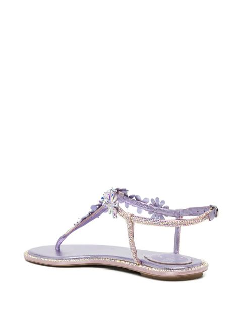 René Caovilla Diana sandals - Purple