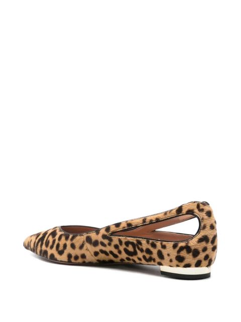 Aquazzura leopard-print ballet flats - Brown