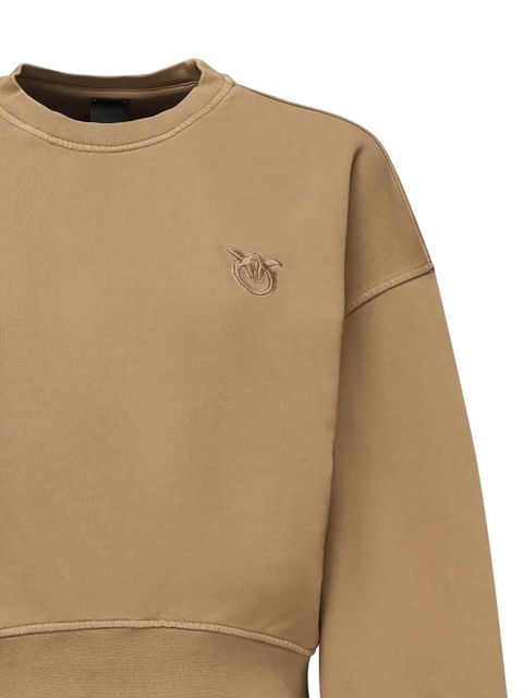 PINKO embroidered balloon-sleeve sweatshirt - Brown