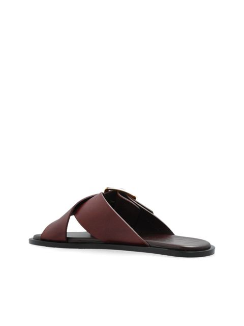 LOEWE Petal Belt slides - Brown