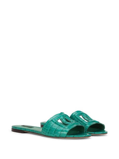 Dolce & Gabbana DG Millennials leather sandals - Green - zdjęcie produktu nr 2
